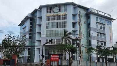 Điểm chuẩn Trường Đại học Quảng Nam 2025