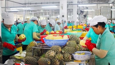 Nâng cao sức cạnh tranh 4 sản phẩm trái cây chủ lực