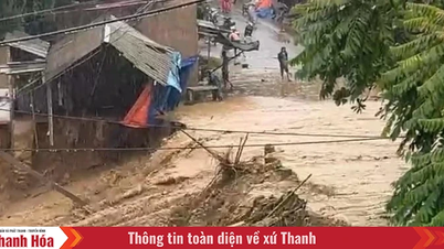 Đề nghị các tỉnh, thành phố đảm bảo an toàn đê điều để ứng phó bão và mưa lũ