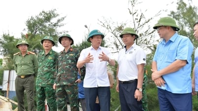 Bí thư Thành ủy Lê Tiến Châu kiểm tra công tác phòng chống bão số 3 tại đặc khu Cát Hải