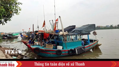 Bão số 3 còn cách Quảng Ninh, Hải Phòng khoảng 418km về phía Đông