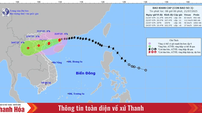 Bão số 3 cách Quảng Ninh - Hải Phòng khoảng 220km, giật cấp 11