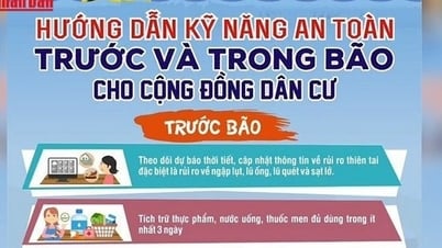 11 khuyến cáo ứng phó bão số 3 và mưa lũ sau bão