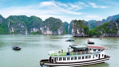 Tạm dừng cấp phép tàu chở khách ra vịnh Hạ Long từ 20 -7