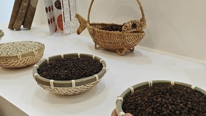 Giá tiêu hôm nay 21/7: Chịu sức ép từ nguồn cung thiếu hụt