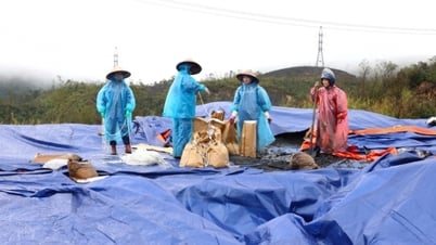 TKV khẩn trương kích hoạt các phương án ứng phó với bão số 3