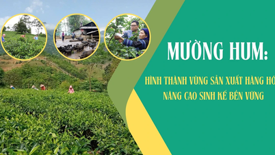 Mường Hum: Hình thành vùng sản xuất hàng hóa, nâng cao sinh kế bền vững