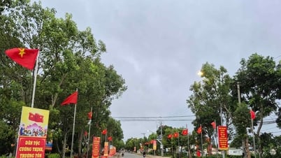 Tân Hội: Thiết thực các hoạt động chào mừng Đại hội Đảng bộ lần thứ I
