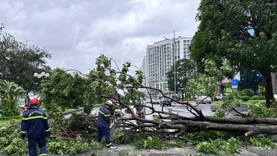 Bão số 3 gây gió mạnh, mưa lớn tại Hà Nội và nhiều tỉnh, thành phố