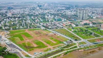 Giải thể Ban Chỉ đạo tổng kết thi hành Luật Đất đai và xây dựng Dự án Luật Đất đai (sửa đổi)