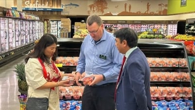Quả vải Việt Nam lần đầu lên kệ siêu thị lớn nhất nước Mỹ