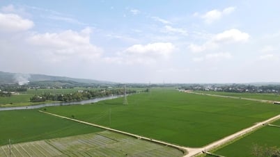 Động lực phát triển kinh tế bền vững