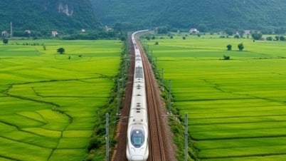 Bảo đảm tiến độ các dự án đường sắt trọng điểm quốc gia