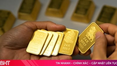 Giá vàng hôm nay 21/7: Vàng miếng tăng tốc – nhà đầu tư nên chọn gì?