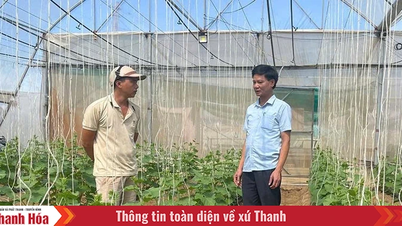 Đảng mạnh từ chi bộ mạnh