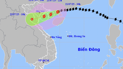 Bão Wipha đã vào Vịnh Bắc Bộ, khả năng tăng 2 cấp trong hôm nay