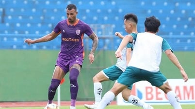 Ninh Bình FC chiêu mộ trung vệ Janclesio cao gần 2 m, hỗ trợ nhập tịch Việt Nam