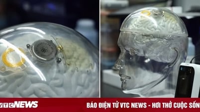 Công nghệ 21/7: Trung Quốc bắt kịp Mỹ trong công nghệ kết nối não bộ