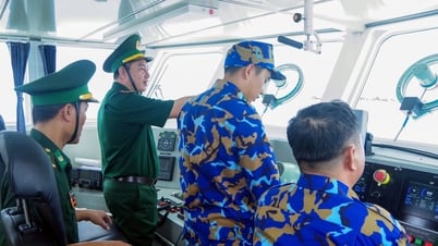 Bộ đội Biên phòng thành phố chủ động ứng phó với bão số 3