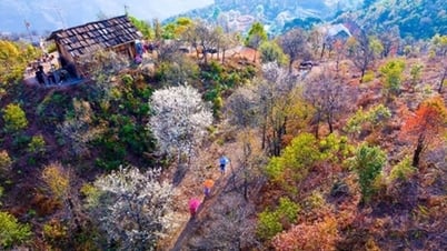 Nậm Nghiệp - Từ vùng đất bị lãng quên đến điểm du lịch Tây Bắc