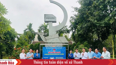Những “viên gạch hồng” đầu tiên