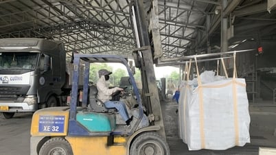 Hải Phòng có thêm hơn 3.300 doanh nghiệp