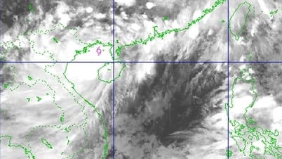 Trưa ngày 22/7, bão số 3 đổ bộ vào Hải Phòng đến Thanh Hoá
