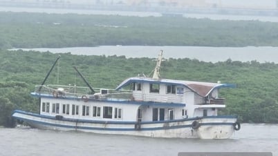 Tàu Vịnh Xanh bị lật ở Quảng Ninh đã hoạt động 10 năm, chưa từng hoán cải