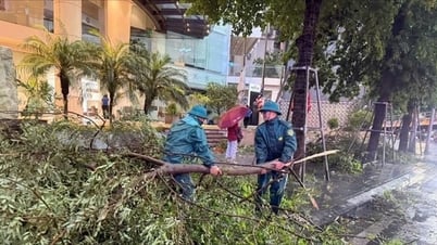 Phường Đống Đa sẵn sàng ứng phó với bão số 3