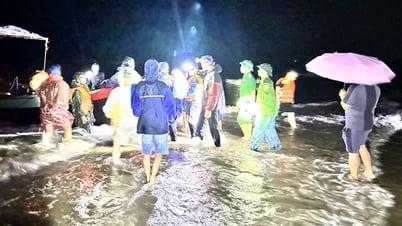 Tàu câu mực chở 30 khách du lịch bị chìm hoạt động tự phát
