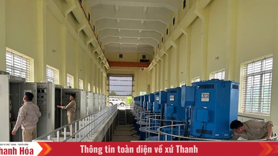 Công ty TNHH MTV Sông Chu chủ động phòng chống bão số 3