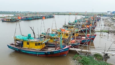 Thành lũy của ngư dân trước bão số 3