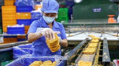 Bộ Tài chính đề xuất nâng giảm trừ gia cảnh lên cao nhất 15,5 triệu đồng