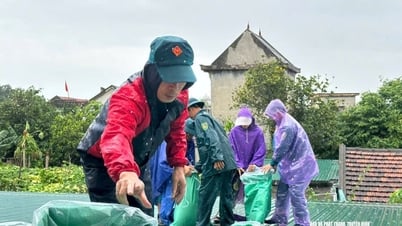 Chính quyền, người dân Nghệ An chạy đua với thời gian chằng chống nhà cửa, sẵn sàng chống ngập lụt, sạt lở