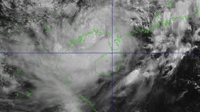 Ứng phó bão số 3: Các tàu thuyền khẩn trương vào nơi trú ẩn an toàn