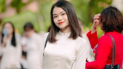 Học viện Nông nghiệp công bố điểm sàn xét tuyển, cao nhất 24