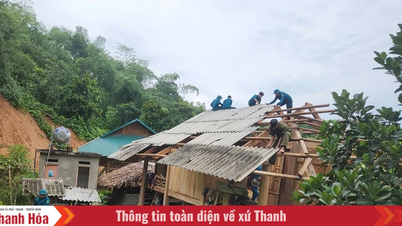 Khẩn trương hỗ trợ người dân có nơi tránh trú an toàn trong cơn bão số 3