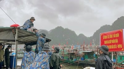 Hải quân tham gia giúp dân phòng chống bão Wipha tại Quảng Ninh