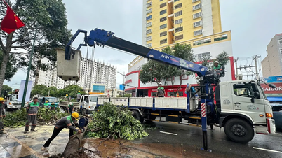 Dông lốc tiếp tục làm nhiều cây xanh gãy đổ ở TPHCM