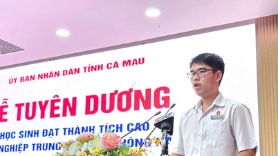 Hai thủ khoa vùng quê Cà Mau chia sẻ giấc mơ đại học