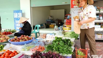 Cấm túi nilon: Bước đi cần thiết và dũng cảm