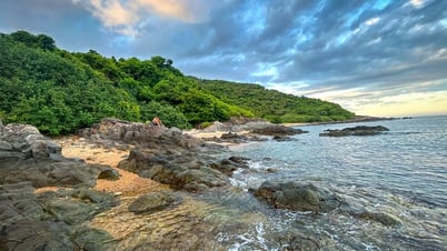 Băng rừng đến với bãi biển đẹp như tranh ở Đà Nẵng