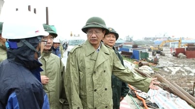 Di dời, bảo đảm an toàn cho các hộ sống ngoài đê