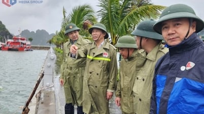 Thứ trưởng Bộ Nông nghiệp và Môi trường kiểm tra công tác phòng, chống bão số 3
