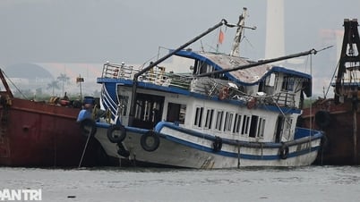Vụ lật tàu trên Vịnh Hạ Long: Hồ sơ 2 công ty xin lỗi vì bắn pháo hoa