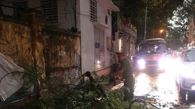 Tây Hồ kích hoạt phương án "4 tại chỗ" phòng, chống bão Wipha