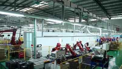 Rạng Đông chuyển đổi thành doanh nghiệp số, đặt mục tiêu doanh thu tỷ USD