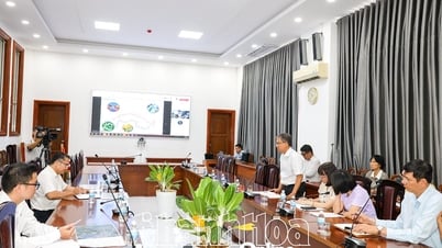 Hoàn thiện ý tưởng đề xuất thiết kế, cải tạo các dòng sông kết hợp phát triển du lịch