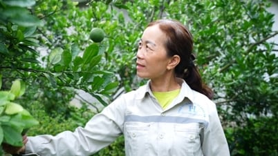 Công khai, minh bạch trong vay vốn chính sách