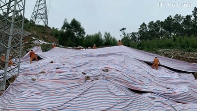 Bố trí nhóm trực xử lý sự cố lưới điện các địa bàn vùng sâu, vùng xa